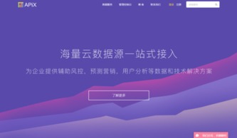 APIX技術 以互聯網數據服務攻破個人信用評估的數據壁壘